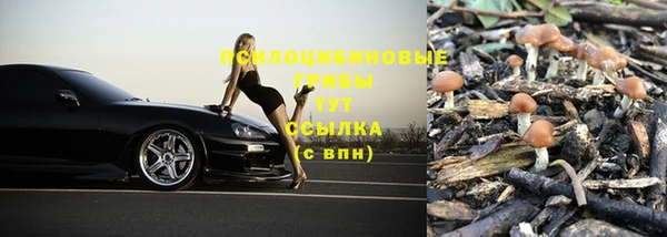 mix Аркадак