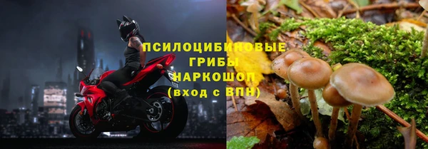гидропоника Арсеньев